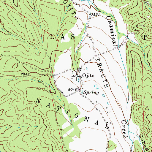 Topographic Map of Ojito, NM