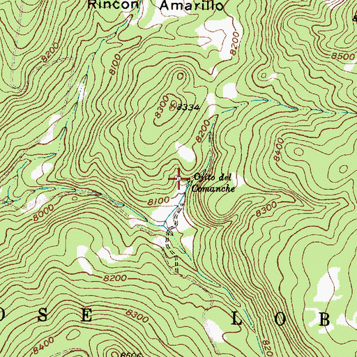 Topographic Map of Ojito del Comanche, NM