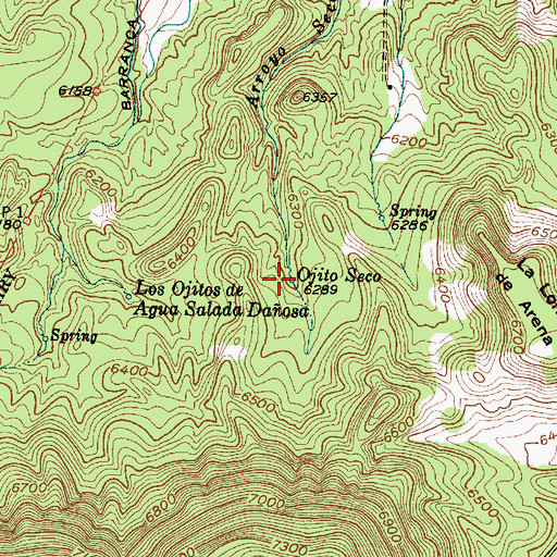 Topographic Map of Ojito Seco, NM