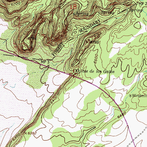 Topographic Map of Ojitos de los Gatos, NM