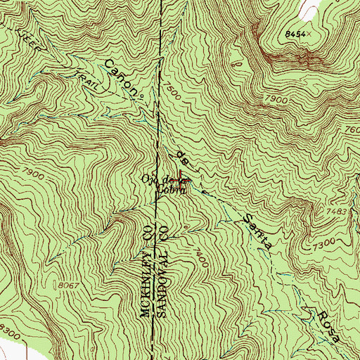 Topographic Map of Ojo de la Cobra, NM