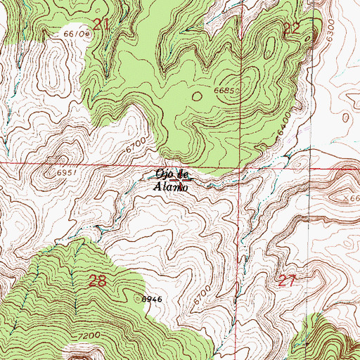 Topographic Map of Ojo de Alamo, NM