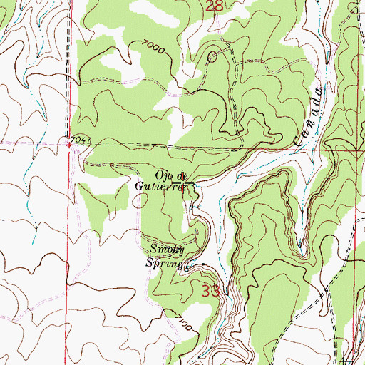 Topographic Map of Ojo de Gutierrez, NM