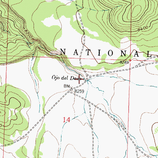 Topographic Map of Ojo del Dado, NM