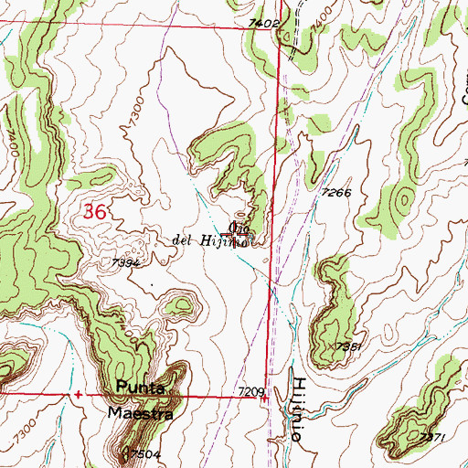 Topographic Map of Ojo del Hijinio, NM