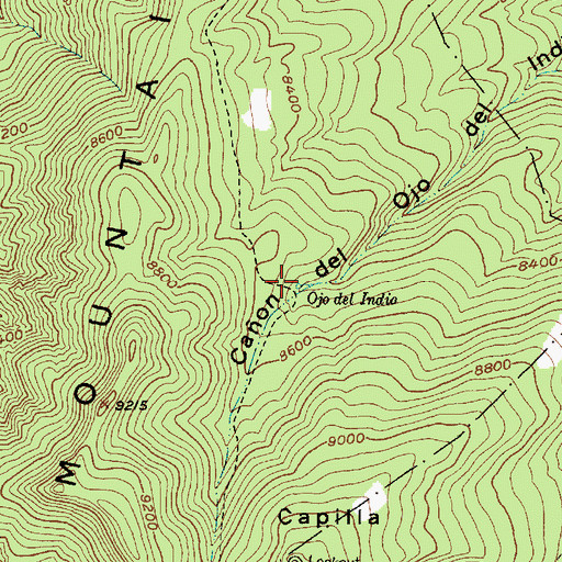 Topographic Map of Ojo del Indio, NM