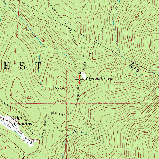 Topographic Map of Ojo del Oso, NM