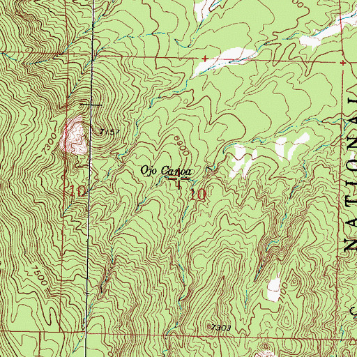 Topographic Map of Ojo Canoa, NM