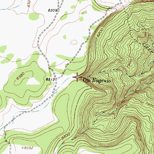 Topographic Map of Ojo Eugenio, NM