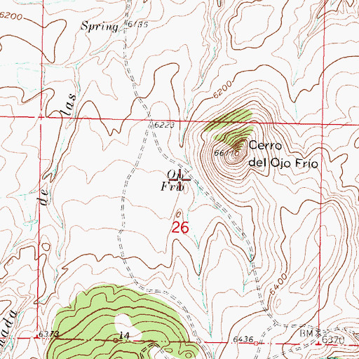 Topographic Map of Ojo Frio, NM