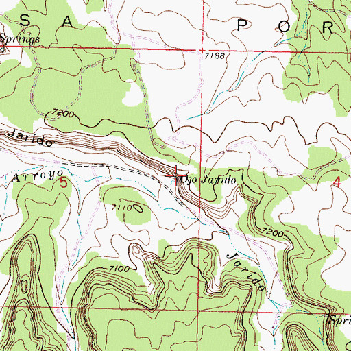 Topographic Map of Ojo Jarido, NM