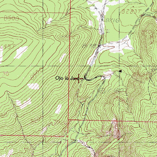Topographic Map of Ojo la Jara, NM