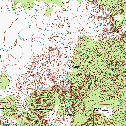Topographic Map of Ojo Navajo, NM