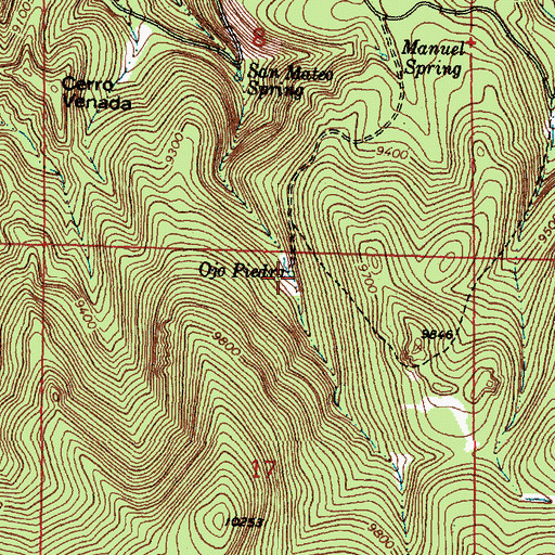 Topographic Map of Ojo Piedra, NM