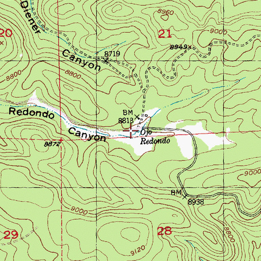 Topographic Map of Ojo Redondo, NM