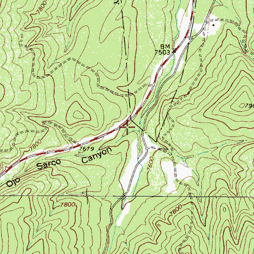 Topographic Map of Ojo Sarco Canyon, NM
