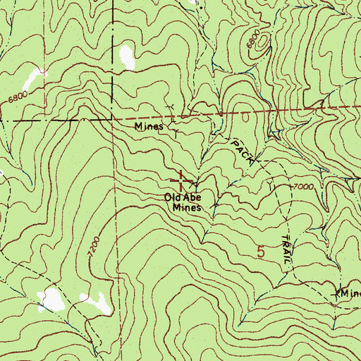 Topographic Map of Old Abe Mines, NM