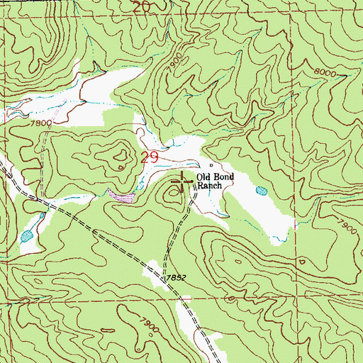 Topographic Map of Old Bond Ranch, NM