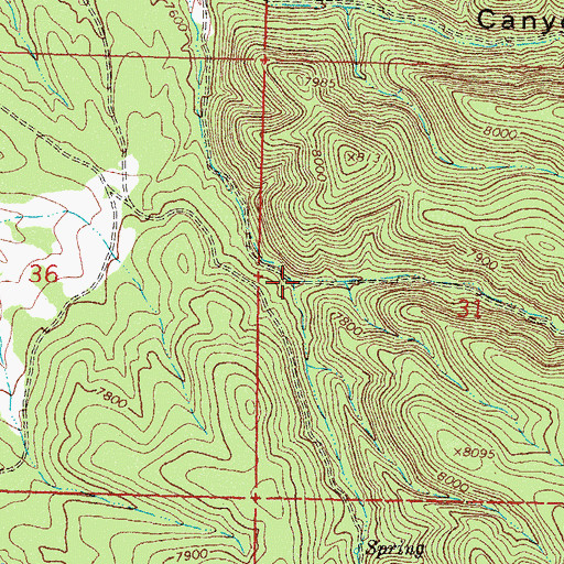 Topographic Map of Old Canyon, NM