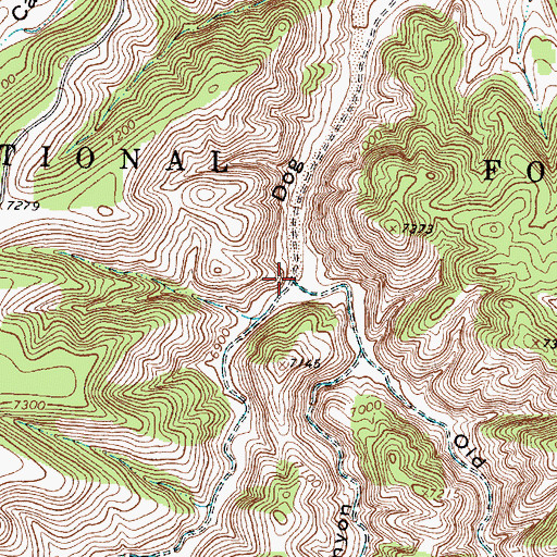 Topographic Map of Old Canyon, NM