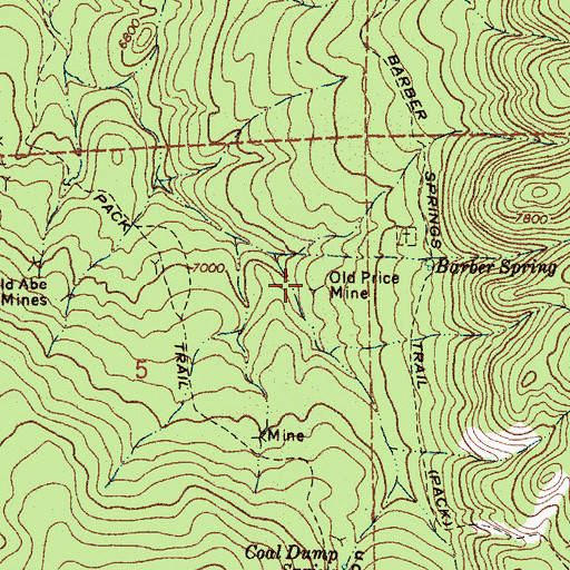 Topographic Map of Old Price Mine, NM