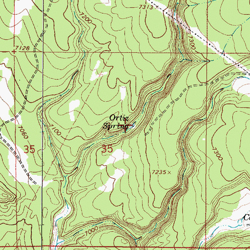 Topographic Map of Ortiz Spring, NM