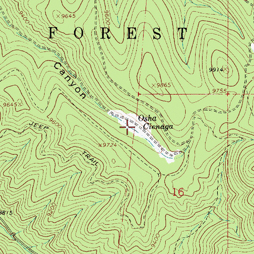 Topographic Map of Osha Cienaga, NM