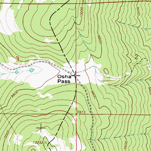 Topographic Map of Osha Pass, NM