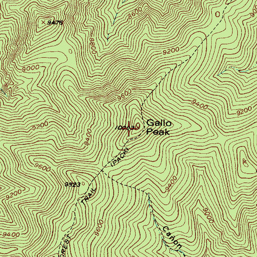 Topographic Map of Gallo Peak, NM