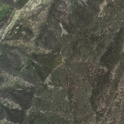 Aerial/Satellite Image of Gallo Peak, NM