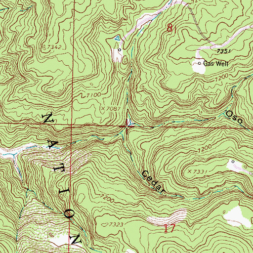 Topographic Map of Oso Canyon, NM
