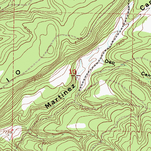 Topographic Map of Oso Canyon, NM