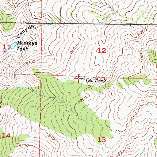 Topographic Map of Oso Tank, NM