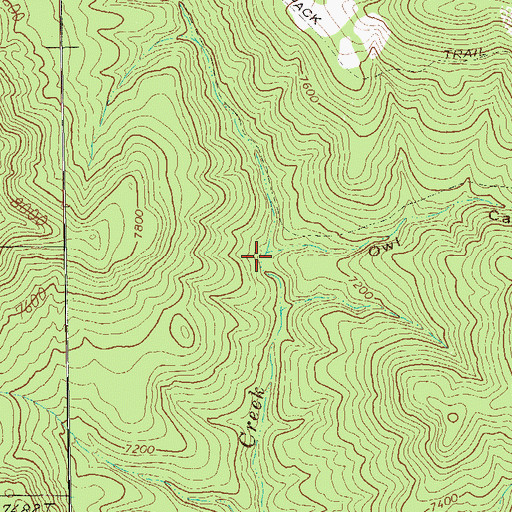 Topographic Map of Owl Canyon, NM