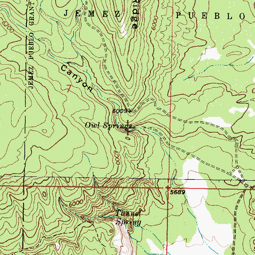 Topographic Map of Owl Springs, NM