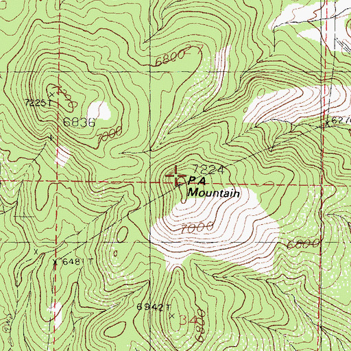 Topographic Map of P A Mountain, NM