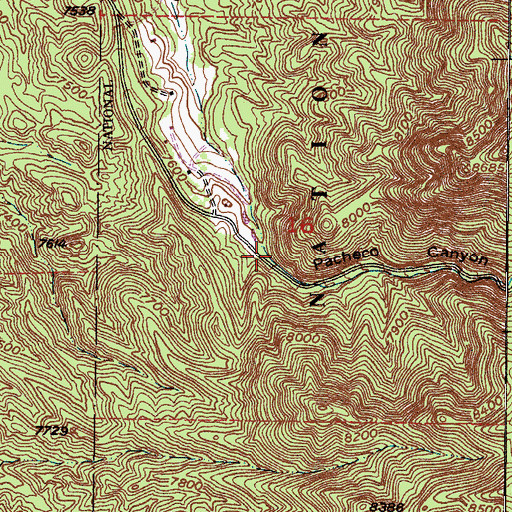 Topographic Map of Pacheco Canyon, NM