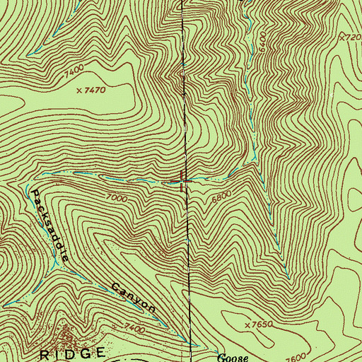 Topographic Map of Packsaddle Canyon, NM