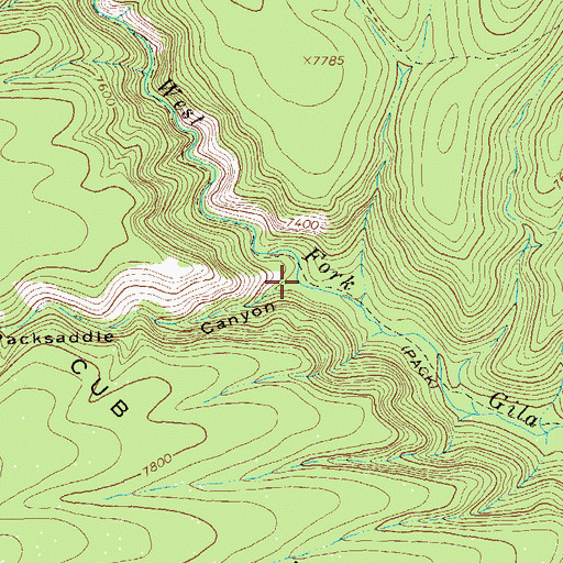 Topographic Map of Packsaddle Canyon, NM