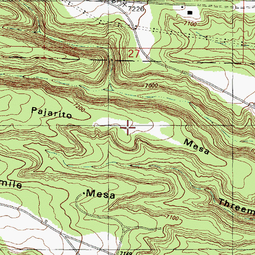 Topographic Map of Pajarito Mesa, NM