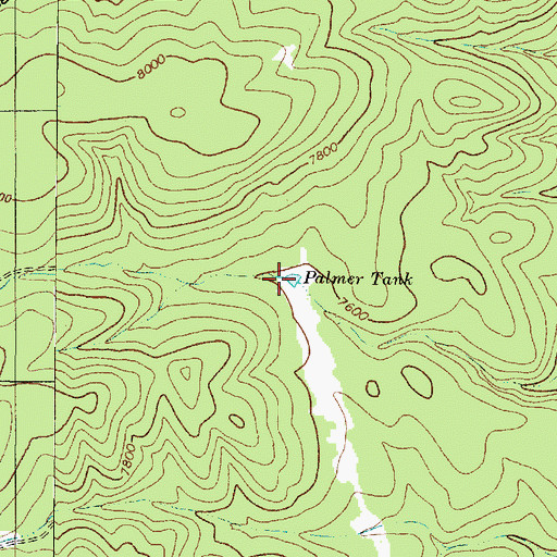 Topographic Map of Palmer Tank, NM