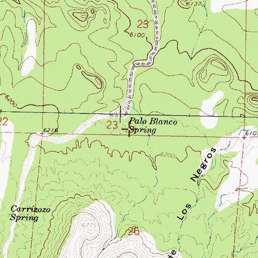 Topographic Map of Palo Blanco Spring, NM