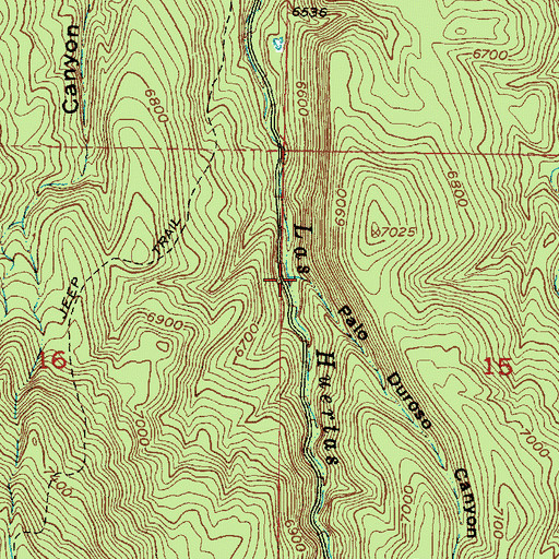 Topographic Map of Palo Duroso Canyon, NM