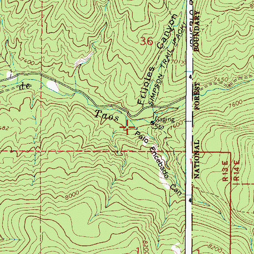 Topographic Map of Palo Encebado Canyon, NM