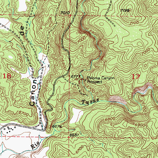 Topographic Map of Paloma Canyon Prospect, NM