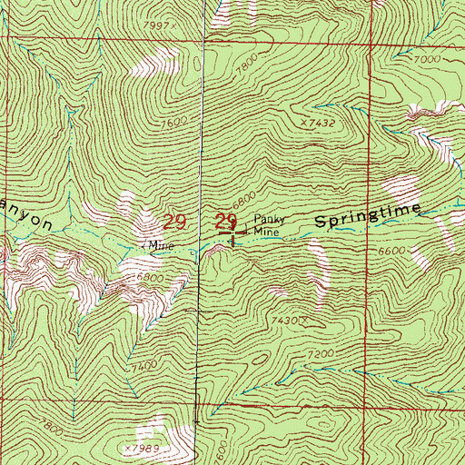 Topographic Map of Panky Mine, NM