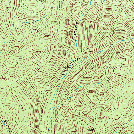Topographic Map of Panther Canyon, NM
