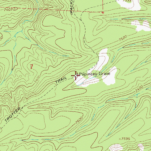 Topographic Map of Papineau Grave, NM