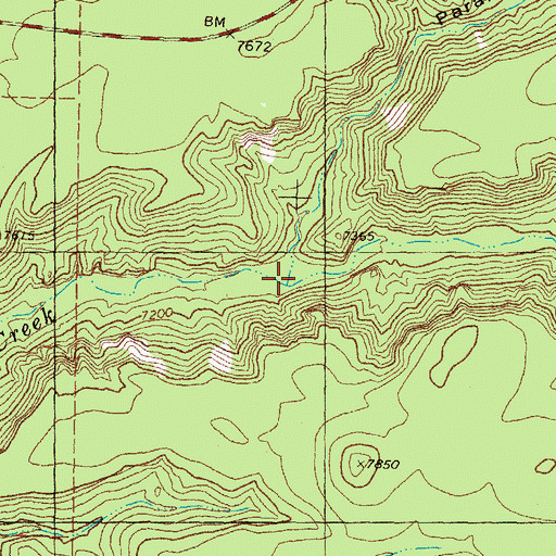 Topographic Map of Paramount Canyon, NM