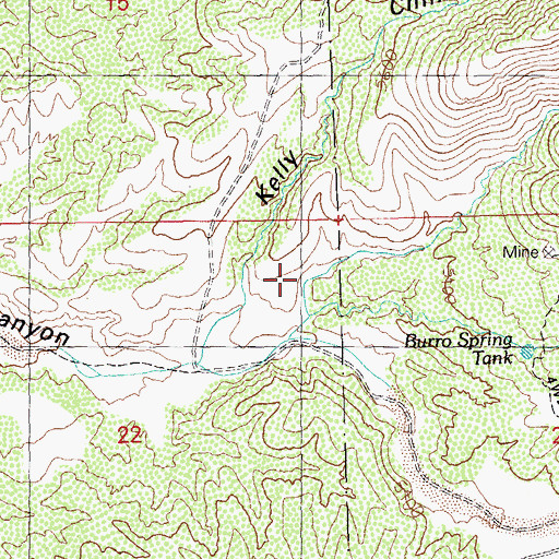 Topographic Map of Park Canyon, NM